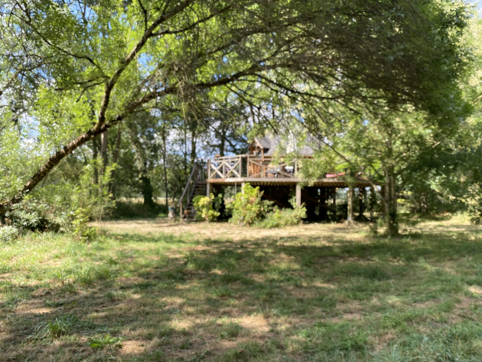 The Cabin, seen through the park