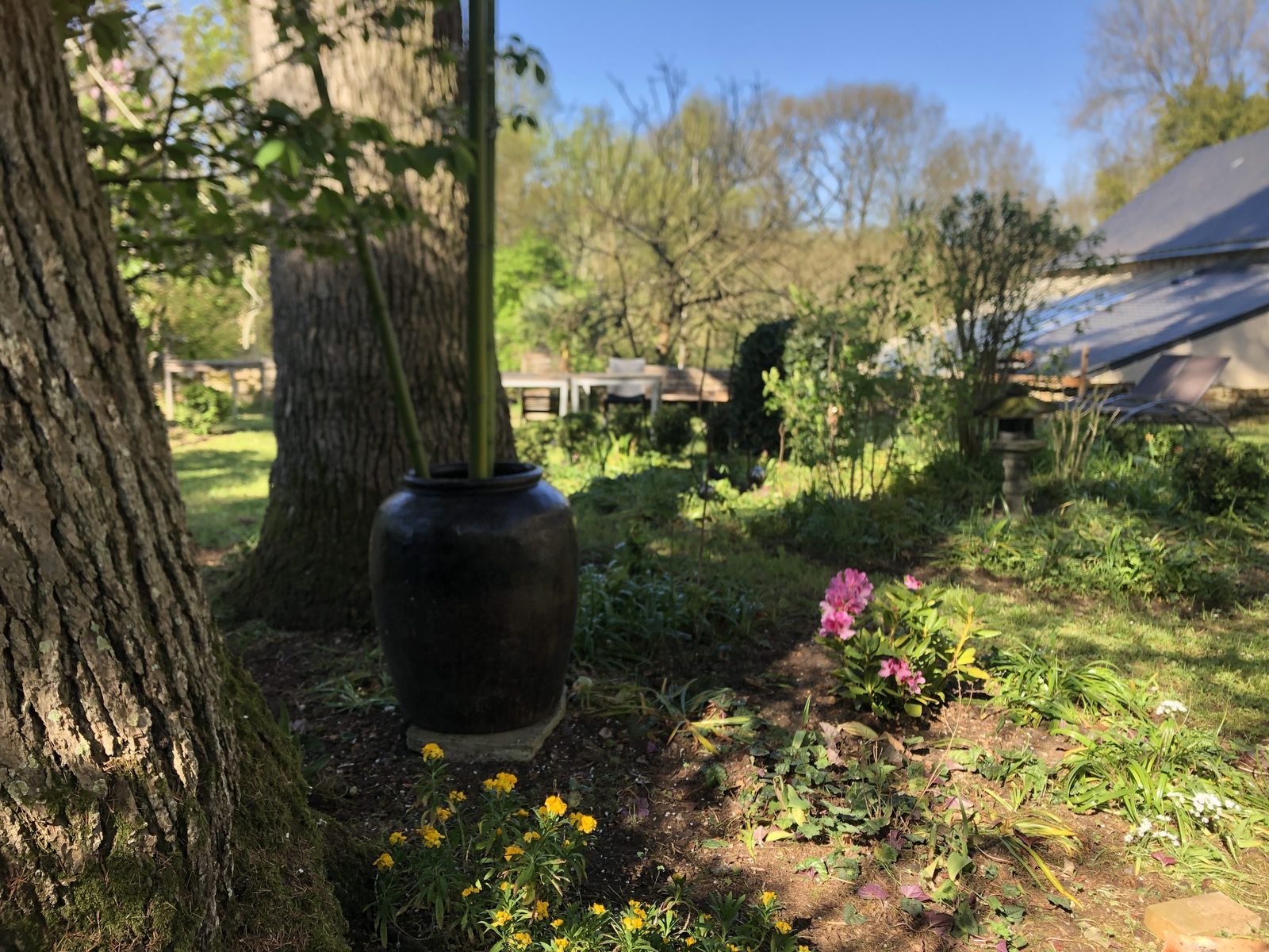 Flower beds beneath the trees