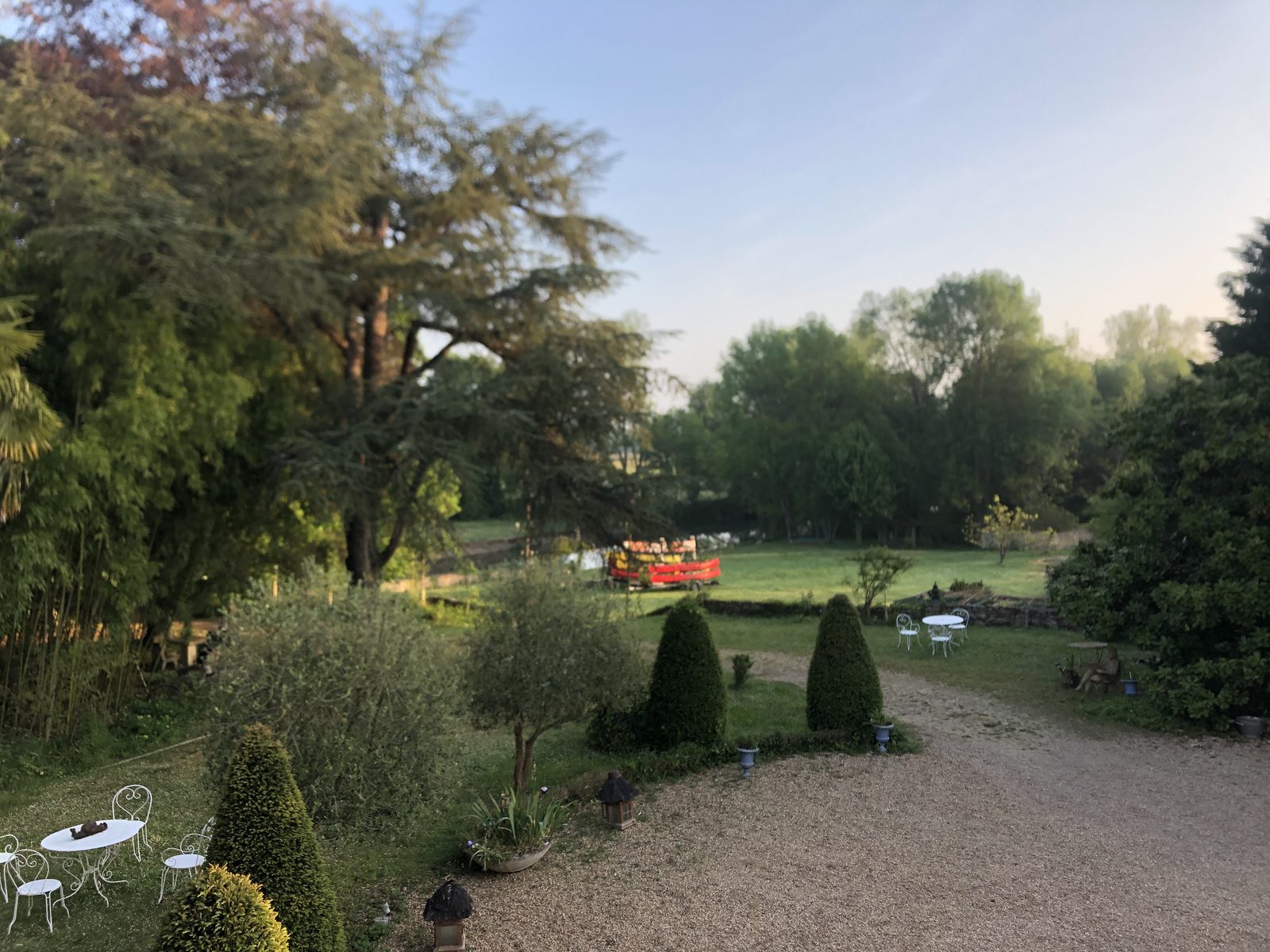Evening light over the park